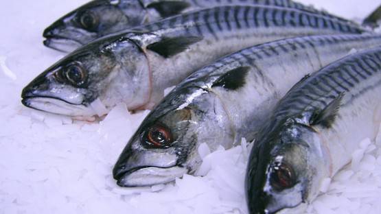 В супермаркеты Северной Осетии завезли около 100 кг рыбы сомнительного качества - Россельхознадзор