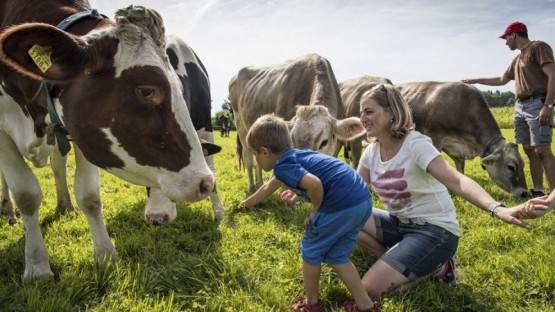В Северной Осетии в сентябре впервые начнет действовать агродеревня на базе молочной фермы
