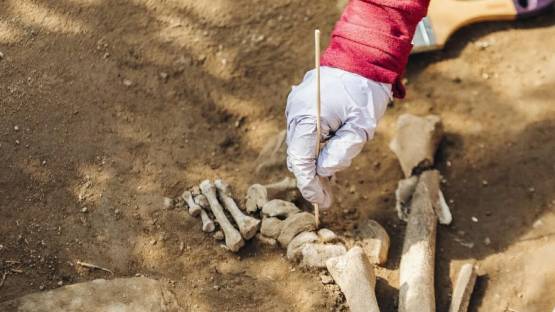 Археологи начали раскопки кургана с останками представителей царского рода сарматов