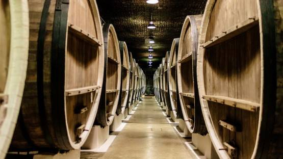 В Моздокском районе построят винный завод