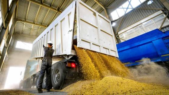 На 60% увеличился экспорт зерна из Северной Осетии