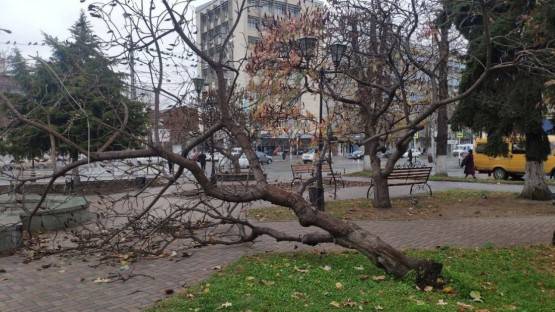 Улицы Владикавказа расчищают от упавших деревьев