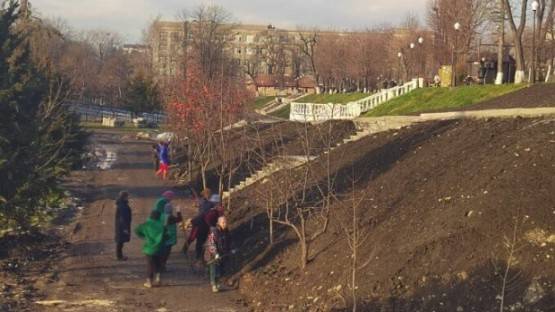 700 саженцев деревьев посадили во Владикавказе этой осенью - АМС