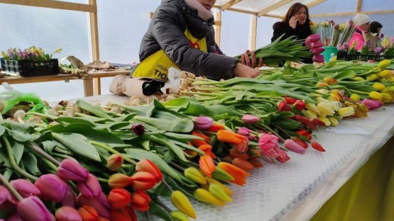 В преддверии 8 марта во Владикавказе начнут работу ярмарки цветов