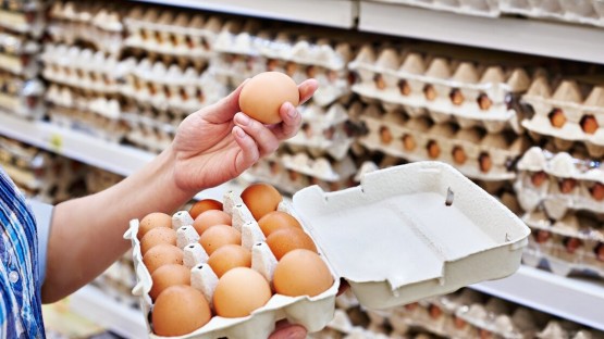 Минсельхоз зафиксировал очередное снижение цены на яйцо