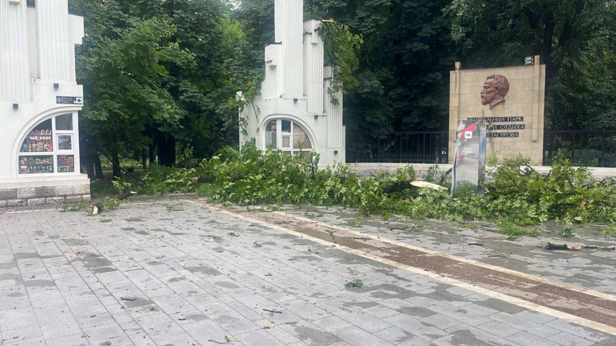 Более 20 деревьев повалил шквалистый ветер во Владикавказе - АМС // ОСнова