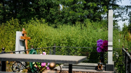 Могил не видно: Западное кладбище Владикавказа заросло травой с человеческий рост