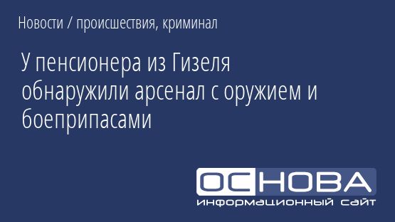 У пенсионера из Гизеля обнаружили арсенал с оружием и боеприпасами