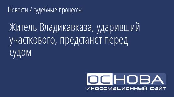 Житель Владикавказа, ударивший участкового, предстанет перед судом