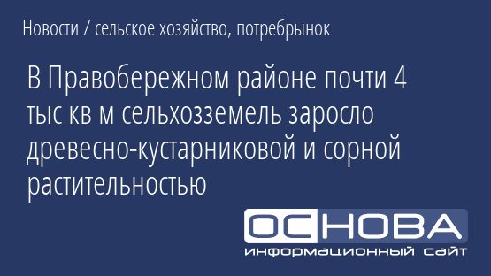 В Правобережном районе почти 4 тыс кв м сельхозземель заросло древесно-кустарниковой и сорной растительностью