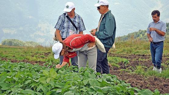 В Северной Осетии решили поставить на развитие сельского хозяйства. И от надежды даже перешли к декларациям о намерениях
