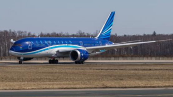 Azerbaijan Airlines приостанавливает полеты еще в три города РФ, в том числе во Владикавказ