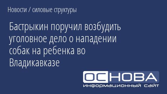 Бастрыкин поручил возбудить уголовное дело о нападении собак на ребенка во Владикавказе