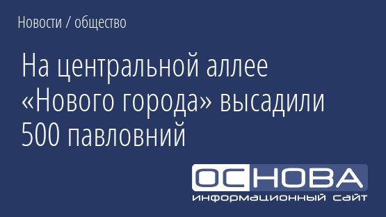 На центральной аллее «Нового города» высадили 500 павловний