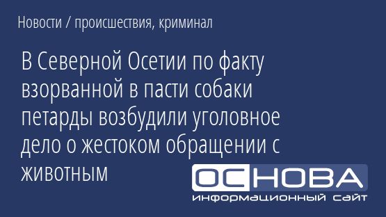 В Северной Осетии по факту взорванной в пасти собаки петарды возбудили уголовное дело о жестоком обращении с животным