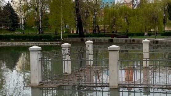 Пруд в Центральном парке Владикавказа вышел из берегов
