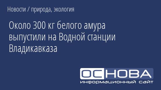 Около 300 кг белого амура выпустили на Водной станции Владикавказа