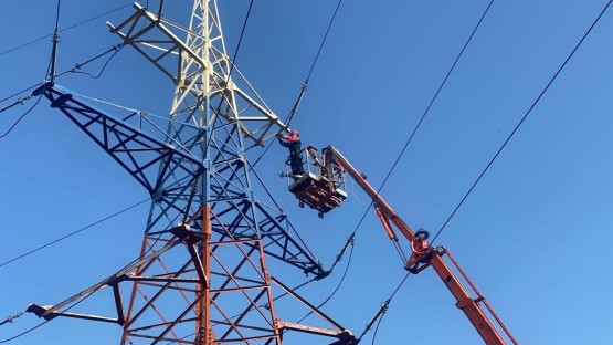 «Россети Северный Кавказ» защищают птиц от воздействия электрического тока