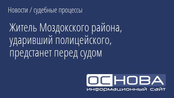 Житель Моздокского района, ударивший полицейского, предстанет перед судом