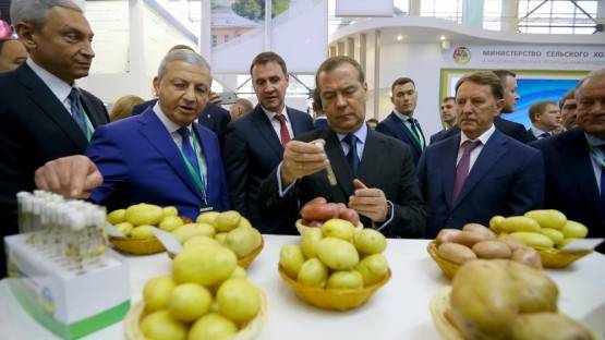 Медведев Битарову: картошка-то ваша отменная. Премьер отметил, что для РФ критически важно самостоятельно селекционировать картофель
