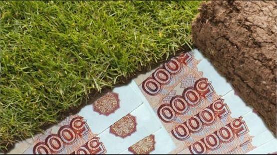 Мошенник выкупил у АМС Владикавказа участок стоимостью более 94 млн рублей за 1,5 миллиона