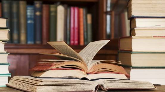 Библиотекарь из Северной Осетии жалуется на невыполнение «майских указов»