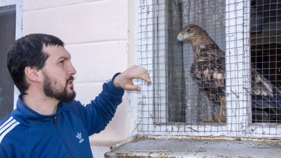 Осетинский Айболит: как зоолог превратил свой дом в приют для зверей и птиц